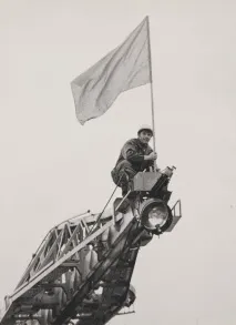 коледни експертни