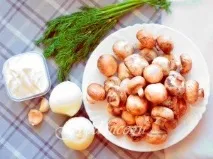 снимка mushroom