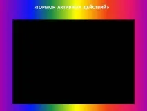 презентация действие