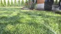 индивидуален ландшафтен