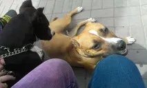 нахабна