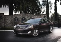 Equus