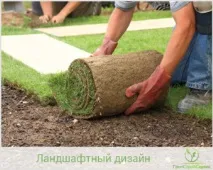 Штучні та натуральні види рулонних газонів газонів