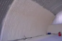 видовете пяна