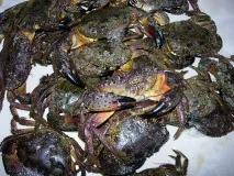 море море