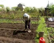 Як дачний закон вплине на життя українських садівників - AgroXXI закон