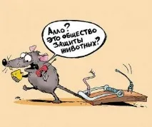 частна частна