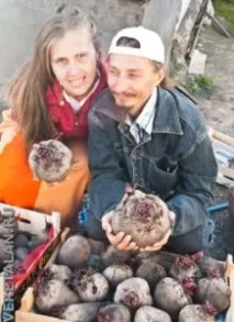 Як ми отримали хороший урожай органічних буряків, Природне здоров’я органічних