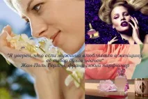 Як підібрати аромат за кольором волосся, Парфумерний Гід – новинки парфуму та огляди косметики волосся
