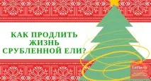 дизайн живота