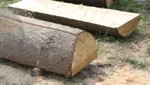 ръце ръце