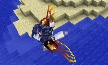 elytra elytra