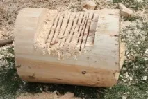 магазин направите