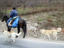 Як проїхати до Туреччини на машині 2014 рік - Компанія - Тепло в Туреччині проїхати