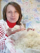 долара пухчета