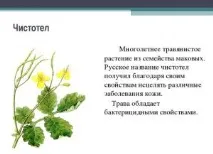 умовах