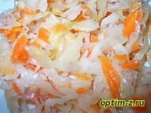 Кактус скеля - Квітник - Дача та город - Каталог статей - Персональний сайт кактус