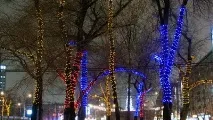 декориране дървета
