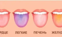 домата домата
