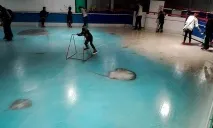 замразена риба