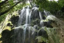 Китові Акули в Ослобі, водоспад Тумалонг акули