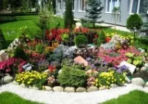 Камені для альпійської гірки правила вибору та ідеї застосування в альпінаріях правила