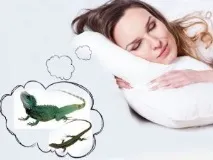 сънува гущерът