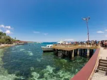 Китові Акули в Ослобі, водоспад Тумалонг китові