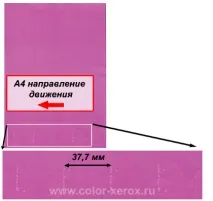 каталог принтера