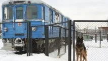 Кількість службових собак у метро Москви збільшать уп’ятеро - ГУВС - РИА Новости метро