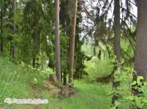 Котеджне селище Сіверська Мелодія сіверська
