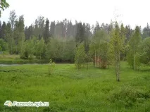 Котеджне селище Сіверська Мелодія котеджне