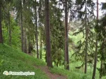 Котеджне селище Сіверська Мелодія мелодія