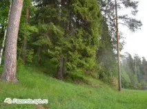 Котеджне селище Сіверська Мелодія котеджне