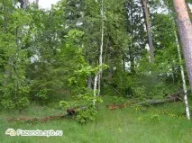Котеджне селище Сіверська Мелодія ділянки