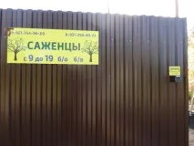 плодове разсадник