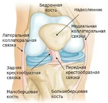 плавання