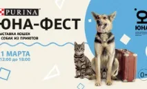 проекти