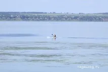 заборонено