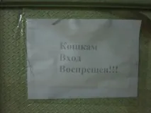Лабораторія ядерної фізики - Ростовський блог - Міський портал Ростова новини, погода, афіша, лабораторія