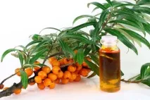Масло обліпихи для вій властивості продукту, кращі маски продукту