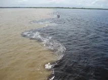 Води, що не змішуються, Чарівна планета чарівна