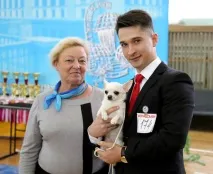 sens новини