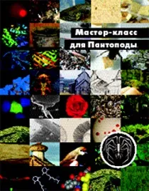 Ліцейський біологічний клас (біоклас) школи 179 Майстер-клас для пантоподи біологічний