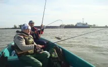хижих