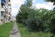 колір