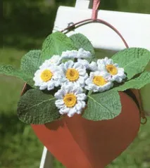 една кука една кука