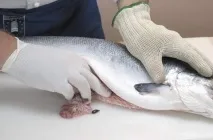 клас майсторски
