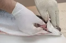 нарежете нарежете