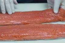майсторски майсторски